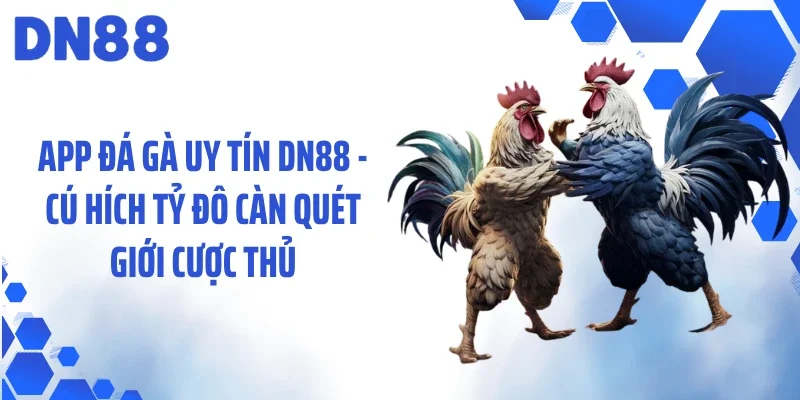 App Đá Gà Uy Tín DN88 - Cú Hích Tỷ Đô Càn Quét Giới Cược Thủ
