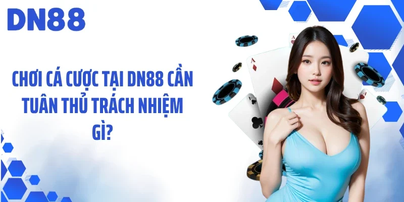Chơi cá cược tại DN88 cần tuân thủ trách nhiệm gì?