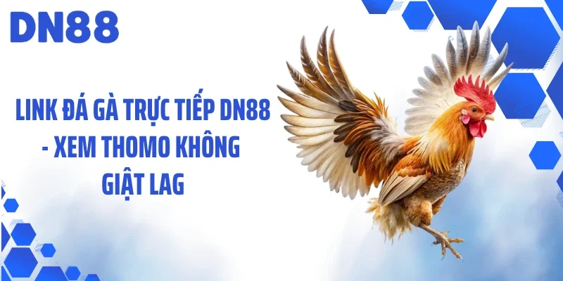 Link Đá Gà Trực Tiếp DN88 - Xem Thomo Không Giật Lag